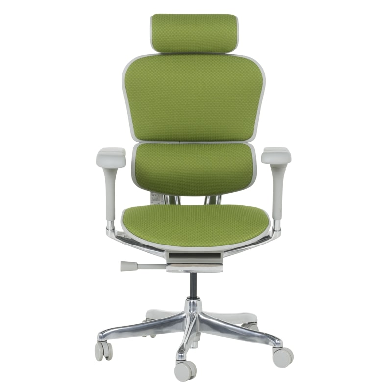 Ергономичен офис стол Ergohuman Elite 2 дамаска зелен-сива рамка